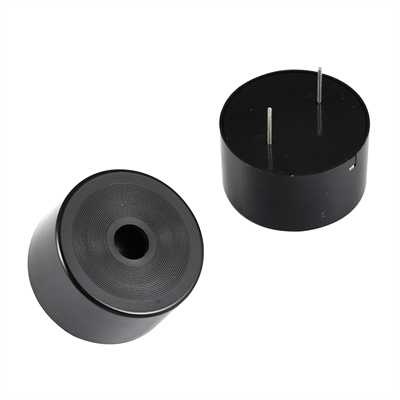 Buzzer 300175F